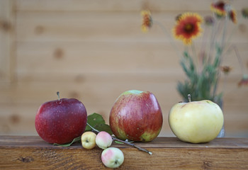 Ripe apples of different varieties and sizes lie on the railing of the terrace