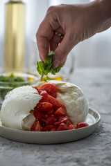 Frau bereitet Büffelmozzarella zu Tomate Mozzarella Salat mit Basilikum, Olivenöl und weißen...