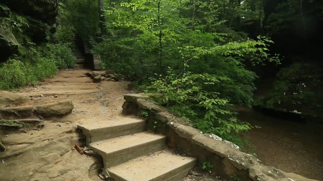 Stairway leading out of a gorge. Beautiful green trees all around. Rock walls and  steady streams encompass the pathway.