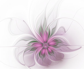 Beautiful fractal flower on a white background