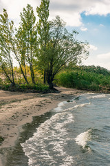 Fototapeta na wymiar Beautiful autumn landscape - a sandy beach with trees