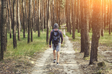 Obraz premium Traveler man walks with a backpack on a dirt road in a pine fore