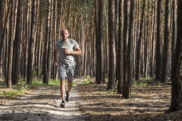 Fototapeta premium Man has morning workout in a pine forest. Concept of matins jogg