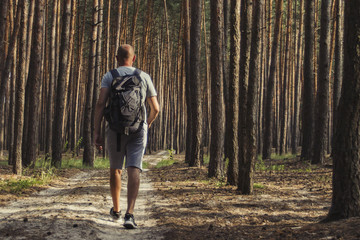 Fototapeta premium Traveler man walks with a backpack on a dirt road in a pine fore