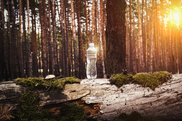 Plastic water bottle stands on a felled log with moss and mushro