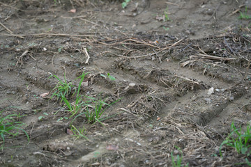 tracktor spur