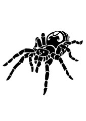 クモ