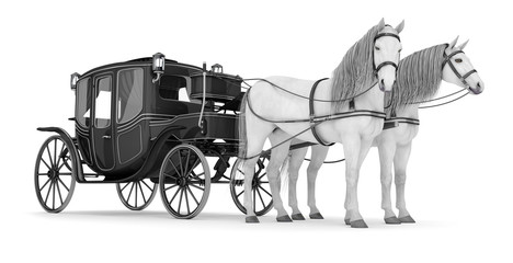 Pair of white horses pulled into a carriage © Wire_man