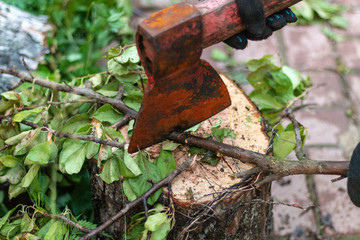 The man cuts the branch with the axe