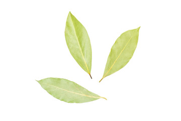 Group of three whole dry olive green bay laurel leaves flatlay isolated on white background