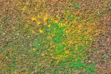 an artifacts on the asphalt after the Spring Festival of colors