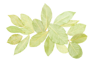 Lot of whole dry olive green bay laurel leaves flatlay isolated on white background