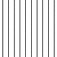 Black white classic striped seamless pattern