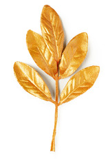 Naklejka na ściany i meble golden leaf design elements.