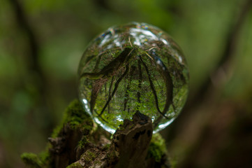 cristal ball reflection