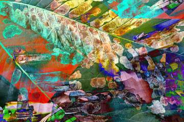 Obrazy na Szkle  wielokrotna ekspozycja naturalny efekt liści kasztanowca na tle tekstury techno
