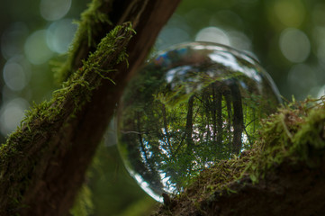 cristal ball reflection