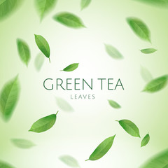 Green tea leaves wallpaper