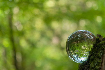 cristal ball reflection