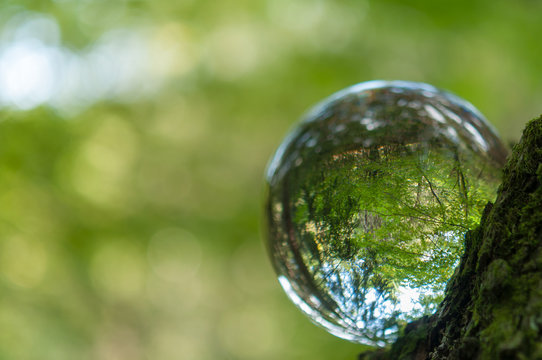 Cristal Ball Reflection