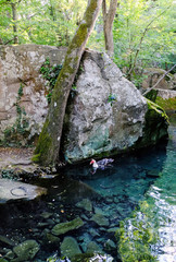 Wildlife, landcape, pond