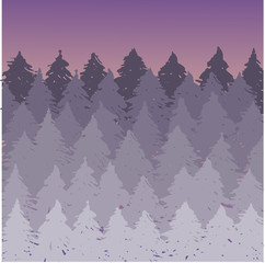 Vector misty spruce forest landscape. Brush silhouettes of coniferous trees. Vector violet illustration.