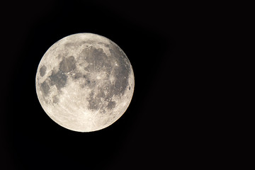 Full Moon / The Moon is an astronomical body that orbits planet Earth and is Earth's only permanent natural satellite. It is the fifth-largest natural satellite in the Solar System