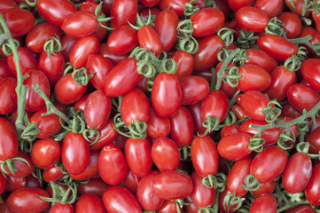 Cherry tomatos Yellow and Red