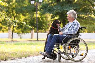 Senior man in wheelchair and his dog outdoors