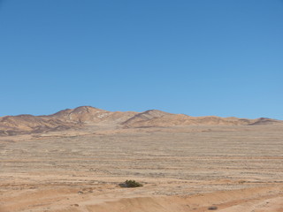 Atacama desert Chile