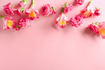 Beautiful blooming flowers on color background