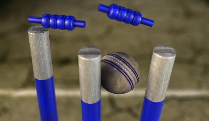 Cricket Pitch Ball And Wickets