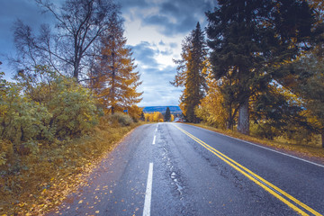 Autumn road view from Sotkamo, Finland.