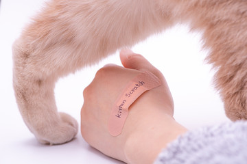 Kitten scratch. A band aid on hand.