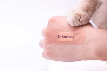 Get very gentle comfort from kitten. I am better now.  Healing concept with copy space.