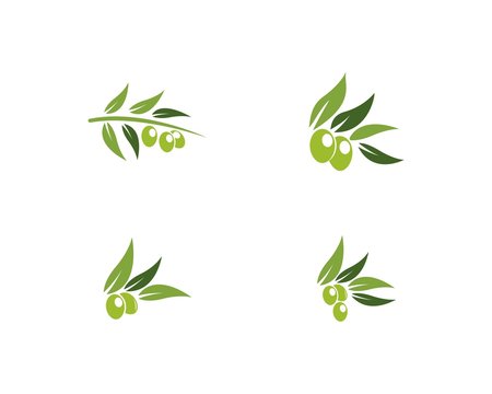 Set of Olive logo Template