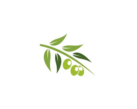 Set of Olive logo Template