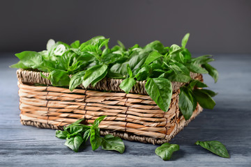 Naklejka premium Wicker basket with fresh green basil on wooden table