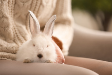 Woman with cute fluffy rabbit at home, closeup