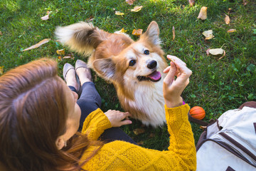 girl and dog