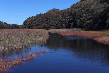 High water and sunshine in landscape after storm