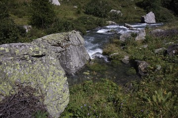 A mountain stream flows with its impetuous waters between the rocks