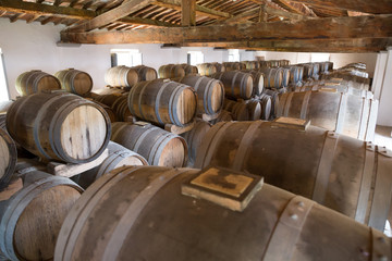 ITALY WINEMAKING BARRELS CELLAR