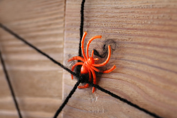 Spider with web as decor for Halloween party on wooden wall