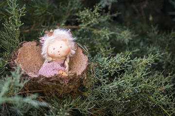 Small children's toy doll in a nest on branches of a tree.