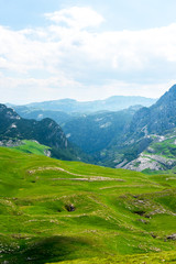 landscape of green valley and mountains in Durmitor massif, Montenegro