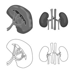 Vector illustration of body and human symbol. Set of body and medical vector icon for stock.