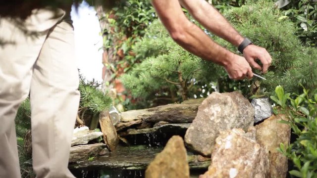 Man hands trimming and pruning the branchs of a bonsai pine