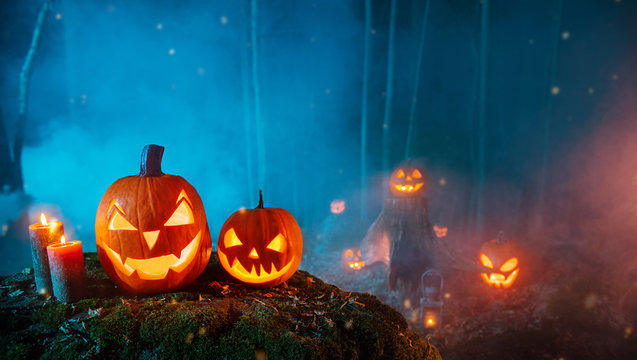 Spooky halloween pumpkins in forest