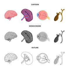 Isolated object of body and human logo. Collection of body and medical stock symbol for web.